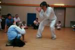 20100316-183433-Capoeira-Kids_FZH_Linden_Grosse_Gruppe