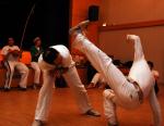 20100316-183537-Capoeira-Kids_FZH_Linden_Grosse_Gruppe