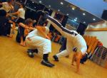 20101214-184120-Nikolaus-Capoeira